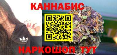 шишки Славгород