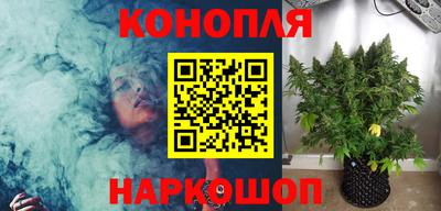 шишки Славгород