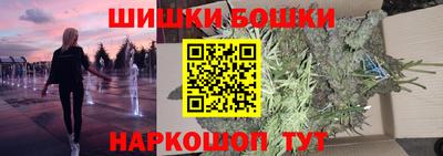 шишки Славгород