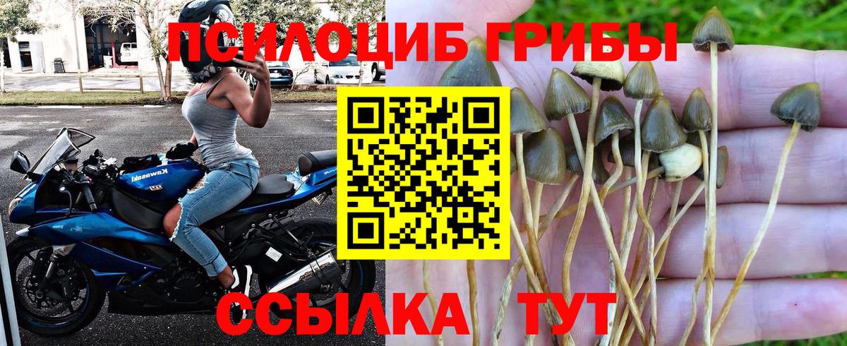 Псилоцибиновые грибы мухоморы Нижневартовск